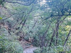 -北京上方山国家森林公园