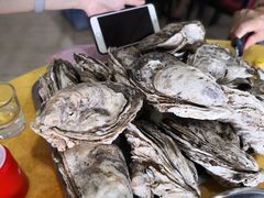 -蚝专家(北滘店)