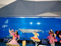 -泉城欧乐堡海洋极地世界