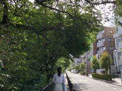 -三鹰之森吉卜力美术馆