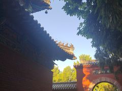-洛阳白马寺