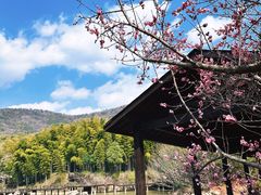 -宝岩生态观光园