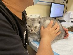 -萌兽医馆·犬猫专科·眼科中心·宠物医院(朝阳门分院)