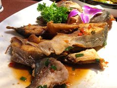 香煎金昌鱼-大洋家·精品潮汕菜·生腌砂锅粥(天河东路店)