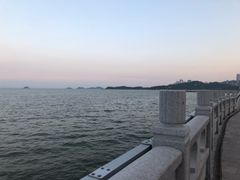 -野狸岛