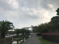 -上海第二工业大学(金海路校区)