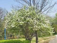 -森林公园(尖草坪区)