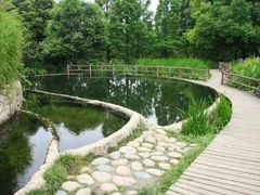 -成都市活水公园