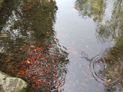 -水磨沟公园