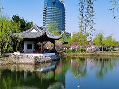 -无锡蠡湖国家湿地公园-蠡园