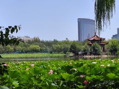 -青城公园