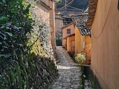 -杨家堂村