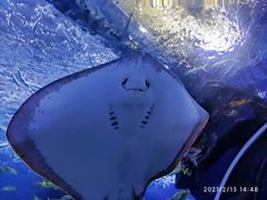 -多彩贵州城极地海洋世界