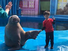 -华夏文旅海洋公园