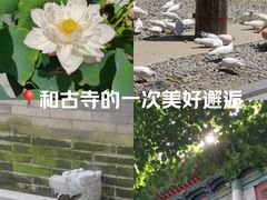 -西安大兴善寺