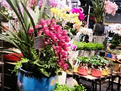 -豆豆花艺(新光天地店)