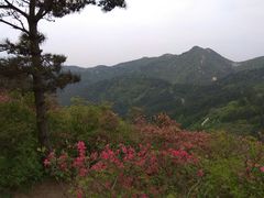 -木兰云雾山