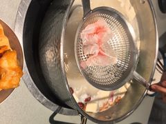 -渔惑·中山脆肉鲩火锅(金湾华发商都店)