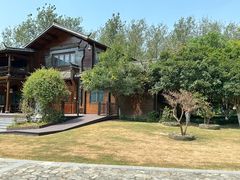 -合肥滨湖国家森林公园