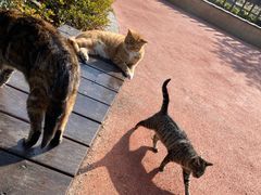 -昆山城市生态森林公园