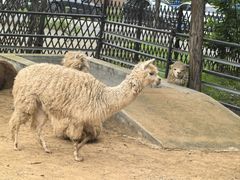-秦皇岛野生动物园