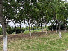 -双山岛