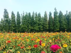 -艾溪湖湿地公园