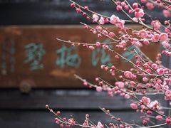 -杭州西溪喜来登度假大酒店