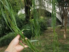 -东南大学(九龙湖校区)