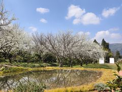 -名花谷生态庄园