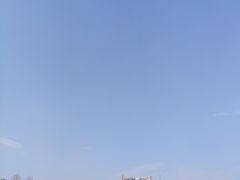 -上海佘山国家森林公园东门地面停车场