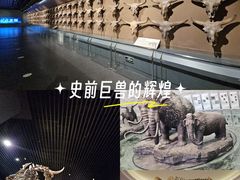 -大庆市博物馆