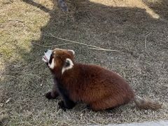 -水上乐园·欢乐世界