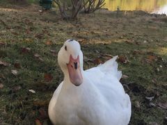 -麒麟阁(东郊宾馆店)