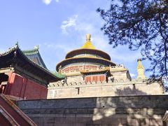 -普乐寺