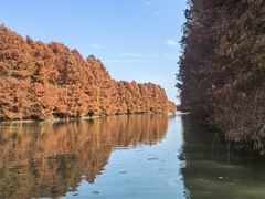 -上海海湾国家森林公园