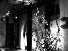 -罍+村卤菜摊(罍街店)
