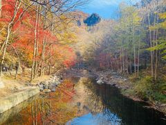 -关门山森林公园