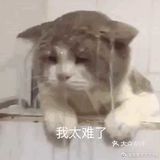 好吃是好吃,也没有多惊艳