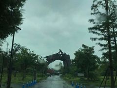 -广富林郊野公园