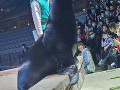 -哈尔滨波塞冬海底世界