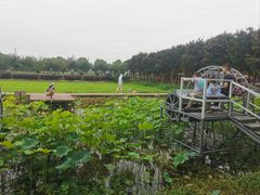 -武汉紫薇都市田园