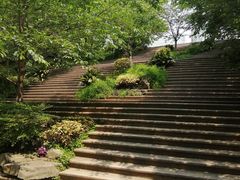 -南山植物园
