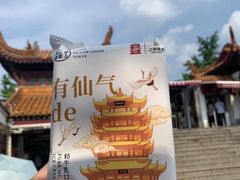 -黄鹤楼公园(黄鹤楼)