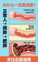 -Fundi张玉珊修身堂·indiba·BTL科技瘦身