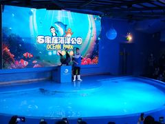 -石家庄海洋公园