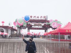 -曹州牡丹园