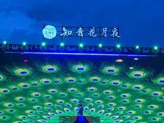 -花博汇(知音花月夜)