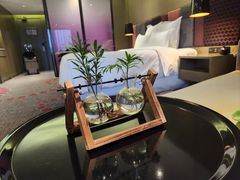 -南京禄口机场雅高铂尔曼大酒店