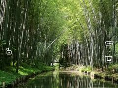 -同里国家湿地公园
